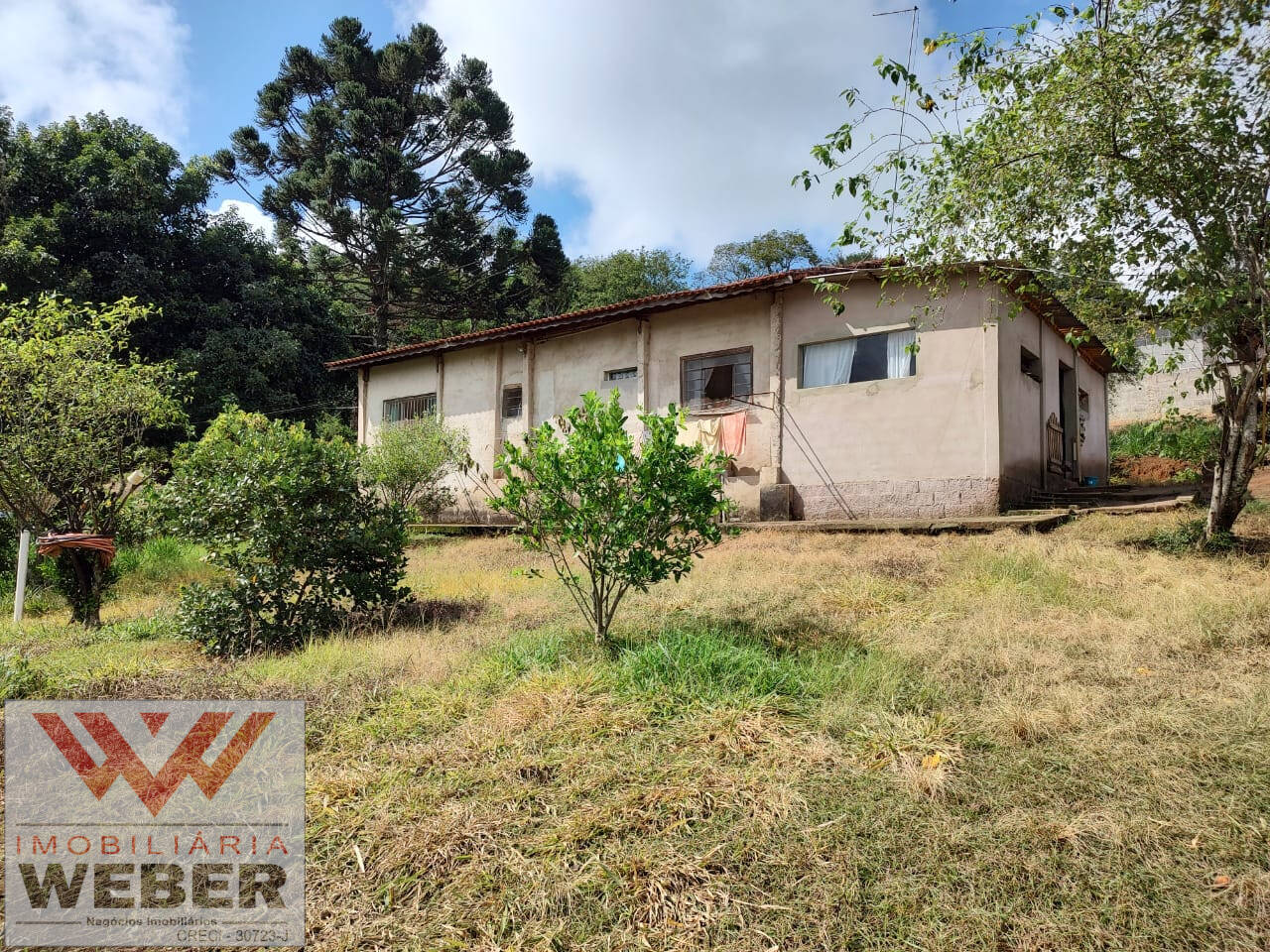 Fazenda à venda com 3 quartos, 22000m² - Foto 1