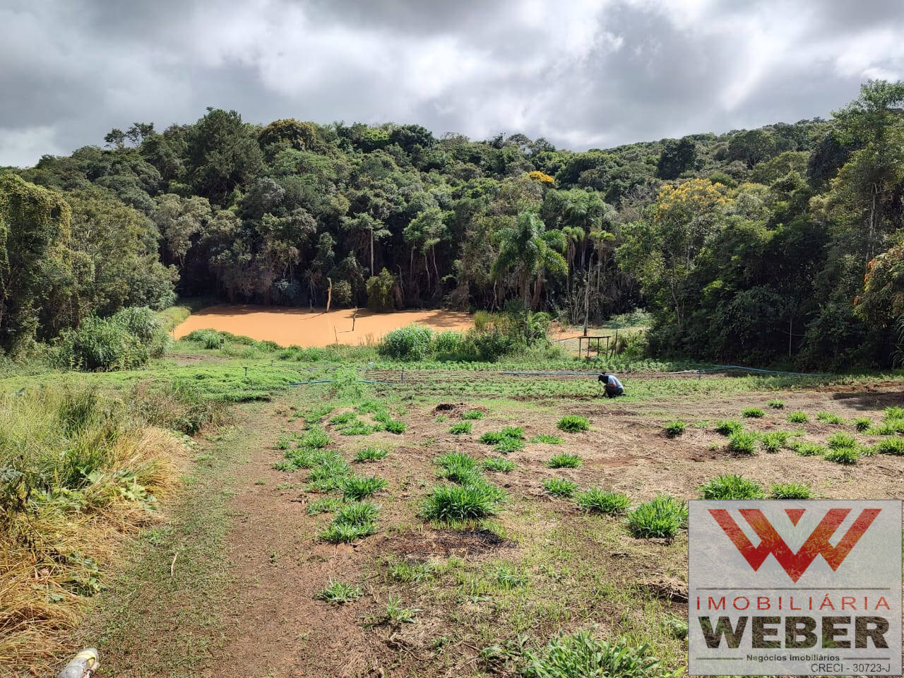 Fazenda à venda com 3 quartos, 22000m² - Foto 5