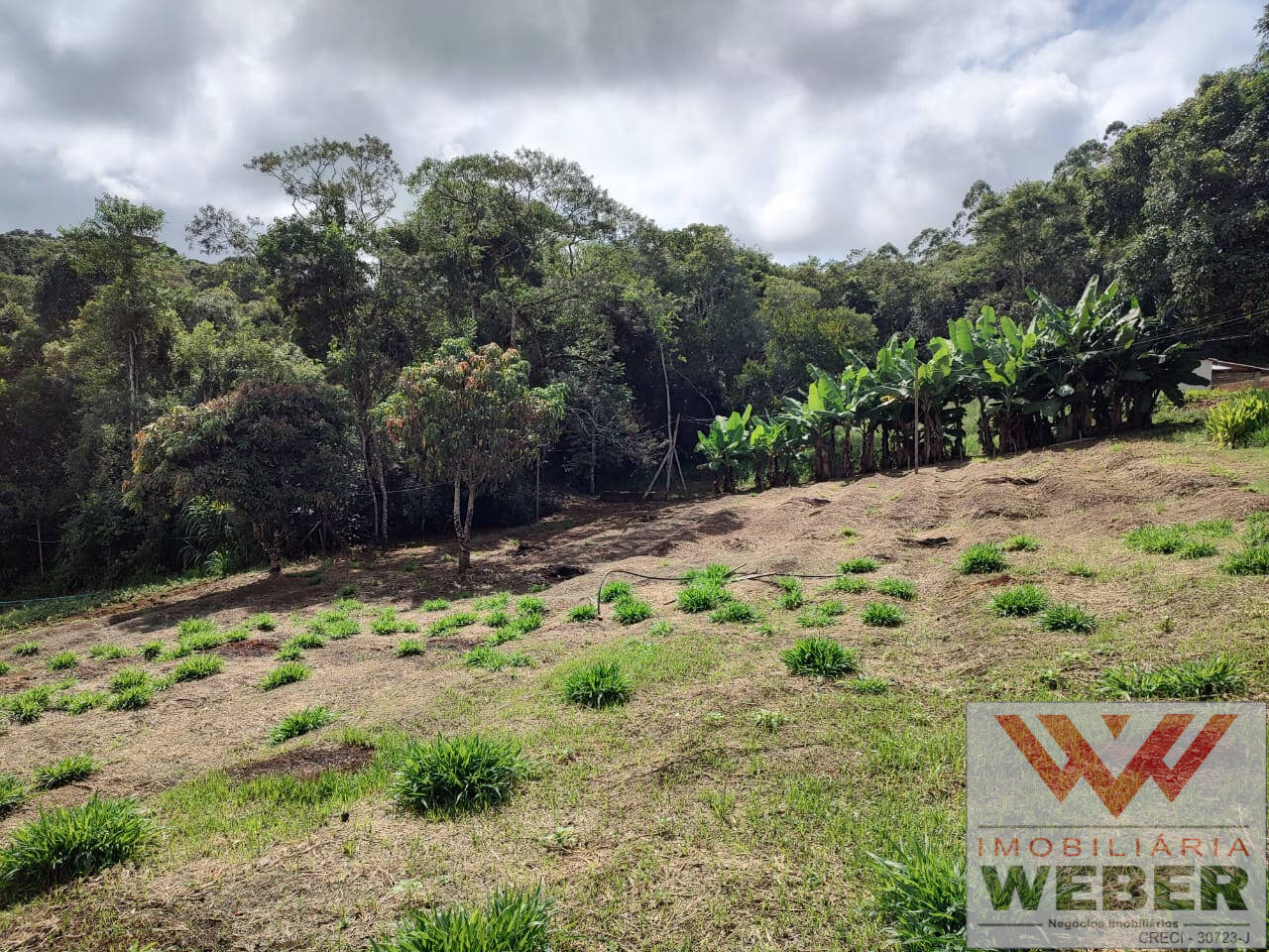 Fazenda à venda com 3 quartos, 22000m² - Foto 6