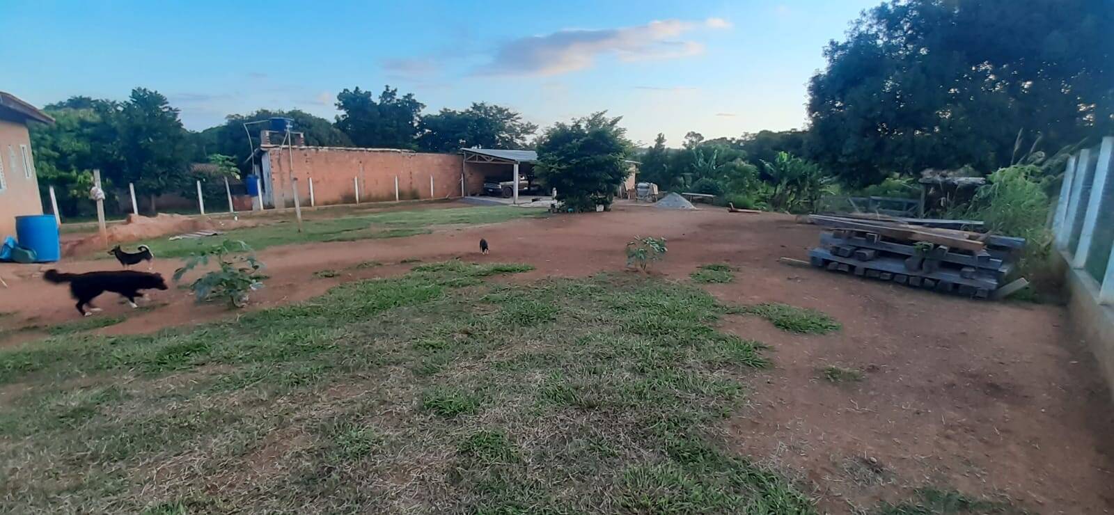 Fazenda à venda com 2 quartos, 110m² - Foto 4