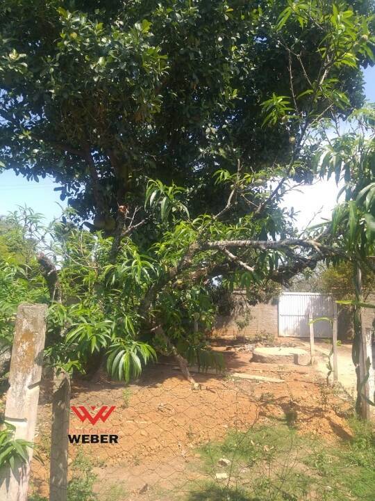 Fazenda à venda com 3 quartos, 200m² - Foto 5