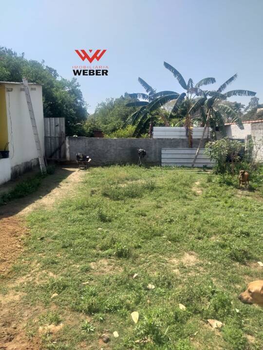 Fazenda à venda com 3 quartos, 200m² - Foto 9