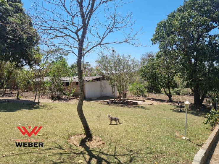 Fazenda à venda com 5 quartos, 300m² - Foto 18