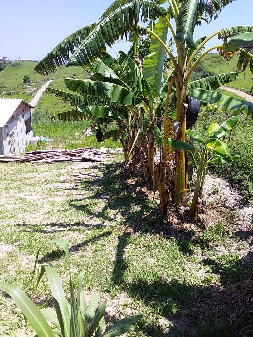 Fazenda à venda com 2 quartos, 70m² - Foto 14