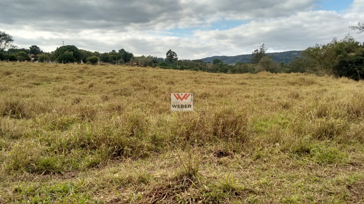 Fazenda à venda com 5 quartos, 133m² - Foto 4